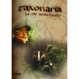 Taxonaria: la cité souterraine - DVD - Robert LUCQUES