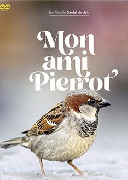 MON AMI PIERROT - DVD - DANIEL AUCLAIR