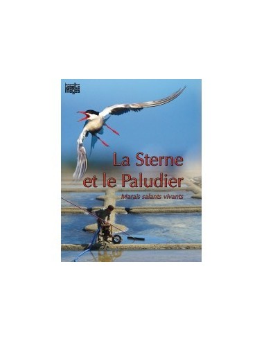 La sterne et le paludier - DVD - Quentin MARQUET