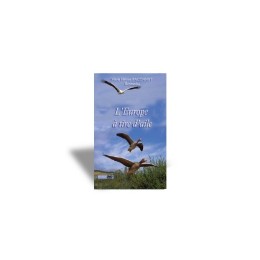 L'Europe à tire d'aile - DVD - Marie-Hélène BACONNET