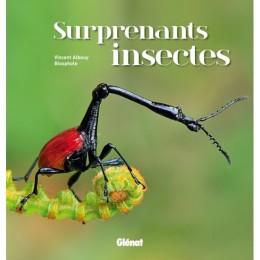 SURPRENANTS INSECTES - LIVRE - VINCENT ALBOUY