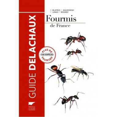 Fourmis de France - LIVRE - Guide DELACHAUX