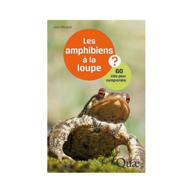 Les amphibiens à la loupe - LIVRE - Alain MORAND