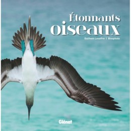 Etonnants oiseaux - LIVRE