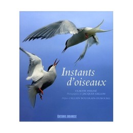 Instants d'oiseaux - LIVRE