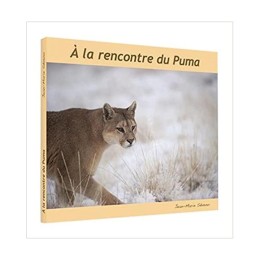 A la rencontre du puma - LIVRE - JEAN-MARIE SÉVENO