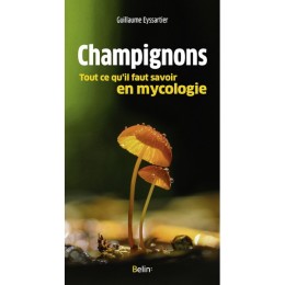 Champignons Tout ce qu'il faut savoir en mycologie -...