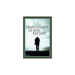 Maintenant le mal est fait - Pascal DESSAINT - LIVRE