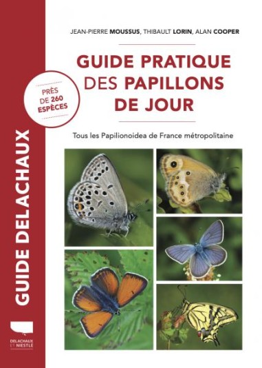 Guide pratique des papillons de jour - LIVRE - Delachaux et Niestlé