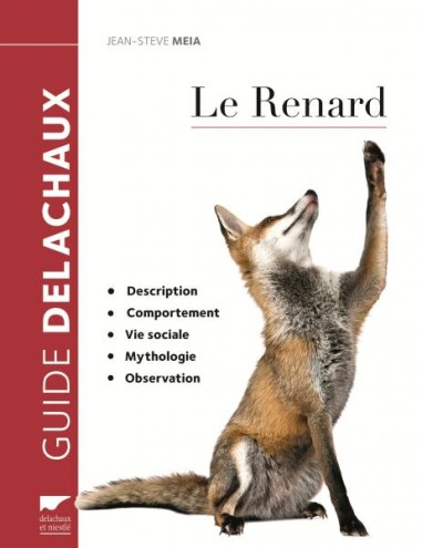 Le renard - LIVRE - Guide Delachaux