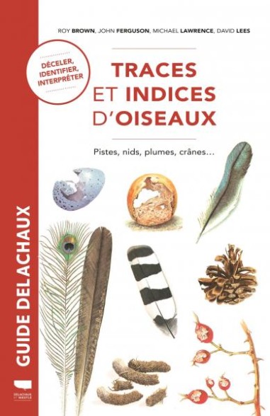 Traces et indices d'oiseaux - LIVRE - Guide Delachaux