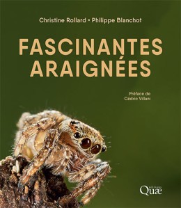 Fascinantes araignées - BEAU LIVRE