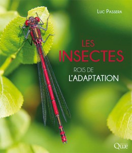Les insectes, rois de l'adaptation - BEAU LIVRE