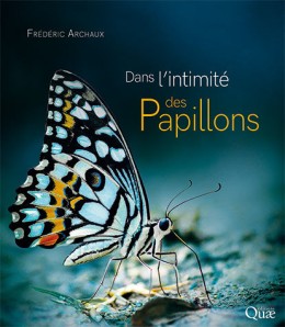 Dans l'intimité des papillons - BEAU LIVRE