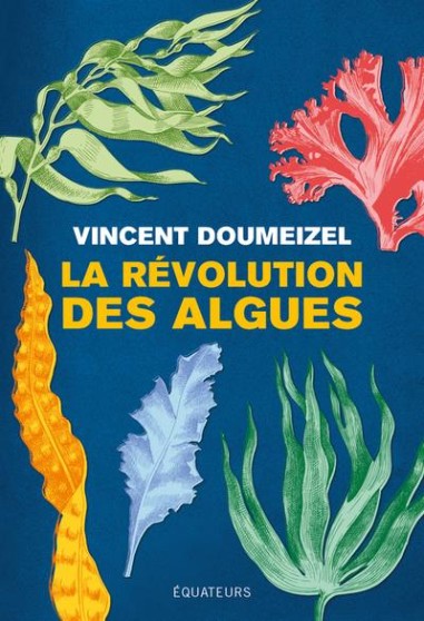 La révolution des algues - LIVRE - Vincent Doumeizel