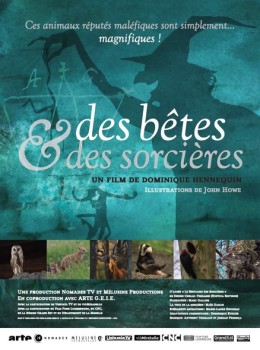 Des bêtes et des sorcières - DVD - Dominique Hennequin