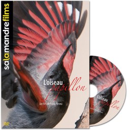 L'oiseau papillon - DVD - Frank Neveu