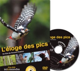 L'éloge des pics - DVD - Vincent Chabloz