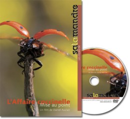 L'affaire coccinelle - DVD - Daniel Auclair