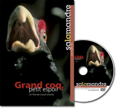 Grand coq, petit espoir - DVD - Lionel Charlet
