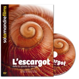 L'escargot dans la spirale du temps - DVD - Daniel Auclair