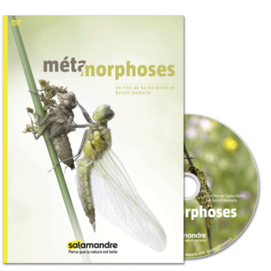 Métamorphoses - DVD - Sacha Bollet & Benoît Demarle
