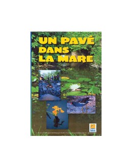 Un pavé dans la mare - DVD - Michel Crozas