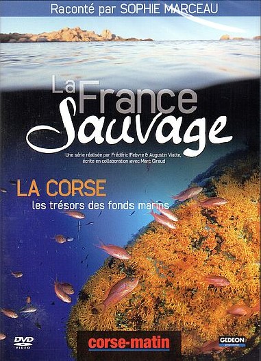 La France Sauvage-La Corse, Les trésors des Fonds Marins - DVD