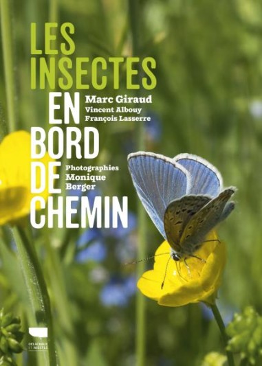 Les insectes en bord de chemin - LIVRE - Marc Giraud