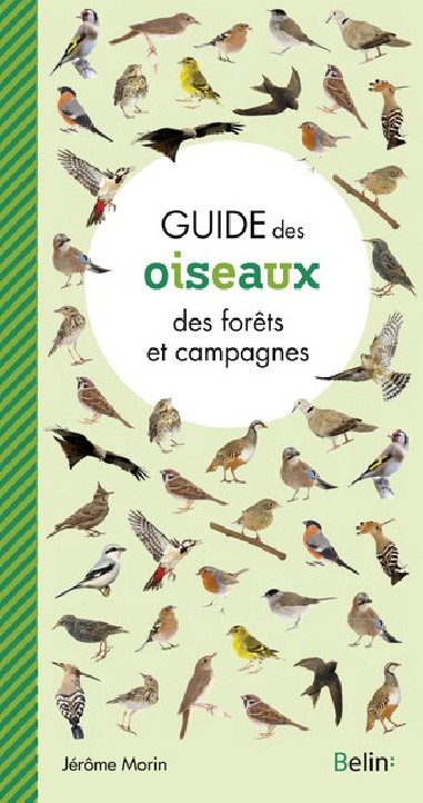 Guide des oiseaux des forêts et campagnes - LIVRE - Belin