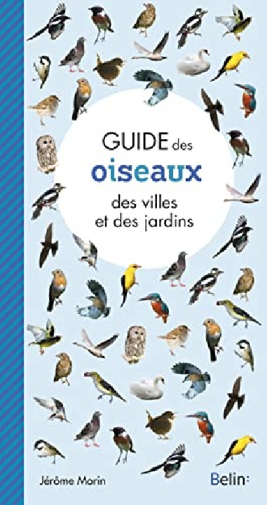 Guide des oiseaux des villes et des jardins - Belin - LIVRE