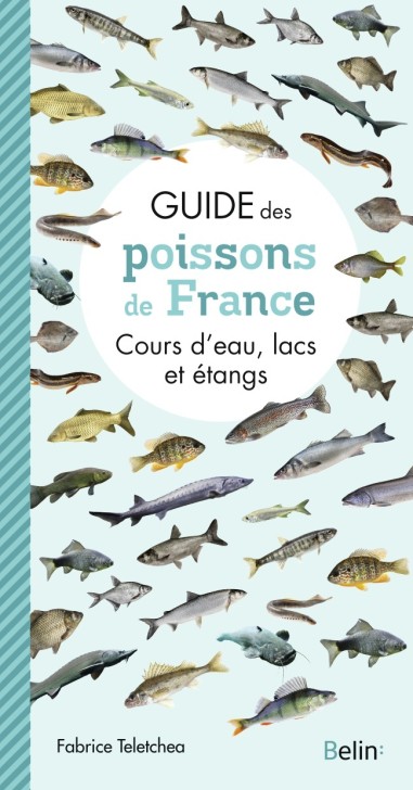 Guide des poissons de France, cours d'eau, lacs et étangs - LIVRE - Belin