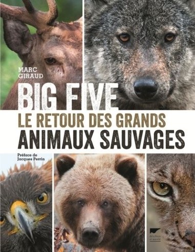 BIG FIVE : Le retour des grands animaux sauvages - LIVRE
