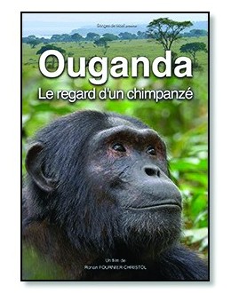Ouganda, le regard d'un chimpanzé - DVD - Ronan...