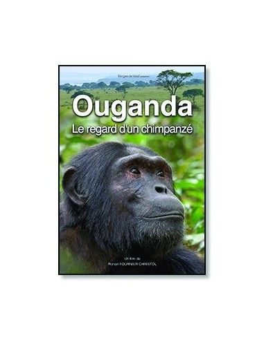 Ouganda, le regard d'un chimpanzé - DVD - Ronan FOURNIER-CHRISTOL