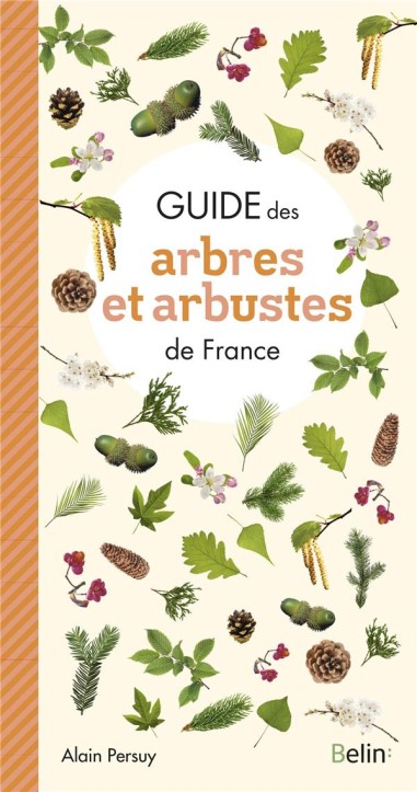 Guide des arbres et arbustes de France - LIVRE - Belin