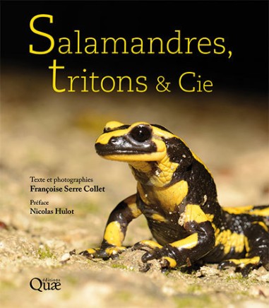 Salamandres, tritons & Cie - BEAU LIVRE - Quae