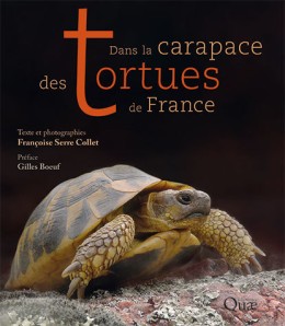 Dans la carapace des tortues de France - BEAU LIVRE - Quae