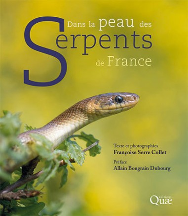 Dans la peau des serpents de France - BEAU LIVRE - Quae