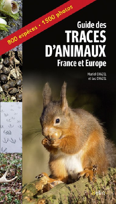 Guide des traces d'animaux, France et Europe - LIVRE - Belin