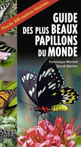 Guide des plus beaux papillons du monde - LIVRE - Belin