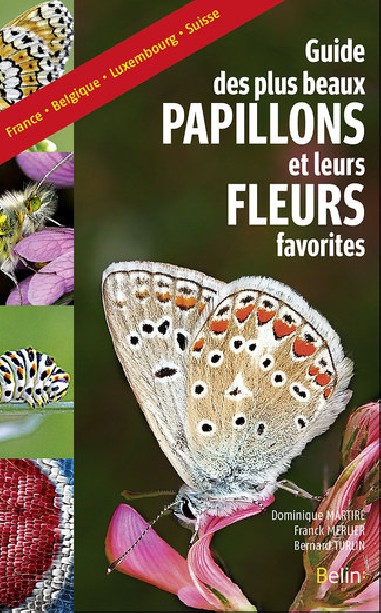 Guide des plus beaux papillons et leurs fleurs favorites - LIVRE - Belin