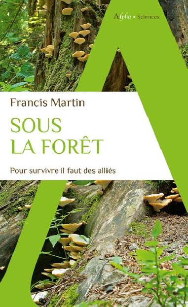 Sous la forêt - LIVRE - Francis MARTIN