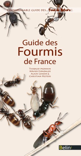 Guide des fourmis de France - LIVRE - MONNIN, LENOIR,...
