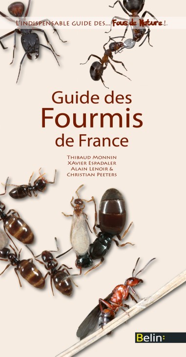 Guide des fourmis de France - LIVRE - MONNIN, LENOIR, PEETERS, ESPADALER