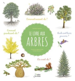 Le livre aux arbres - LIVRE - Coin Juniors