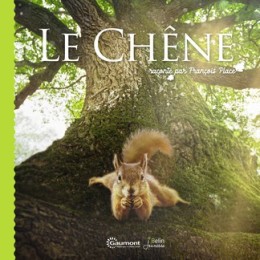 Le chêne - LIVRE - Coin Juniors