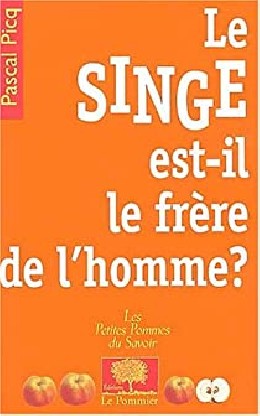 Le SINGE est-il le frère de l'homme ? - LIVRE - Coin Juniors