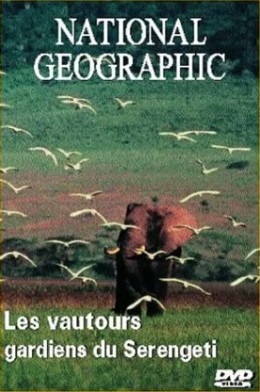 Les vautours : gardiens du Serengeti - DVD