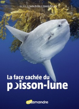 La face cachée du poisson-lune - DVD - Sacha BOLLET,...